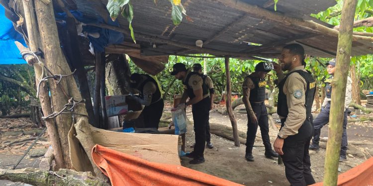 Intensifican operativos contra el microtráfico en los municipios SFM y Pimentel