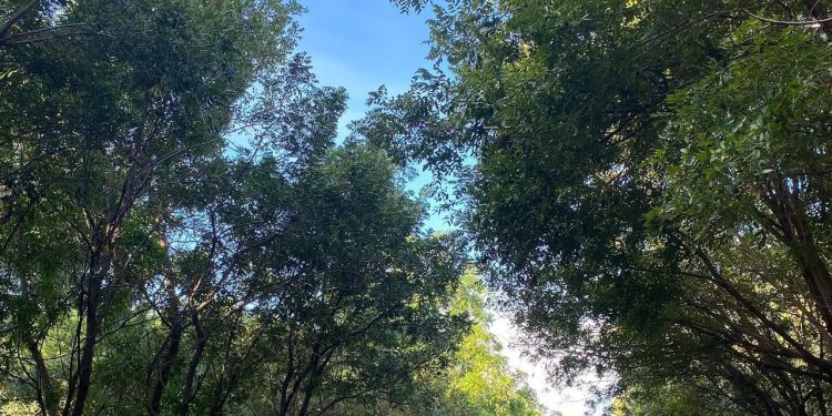 Miderec reabre Parque del Este y el Centro Olímpico JPD tras los juegos