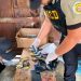 DNCD arresta a 44 personas y ocupa más de 13 kilos de drogas en SDE