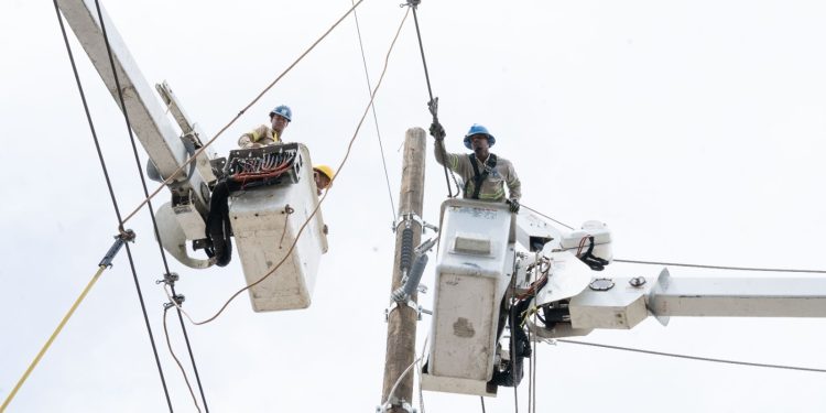 ETED realizará jornadas de mantenimiento y reemplazo de estructuras del 25 al 27 de agosto