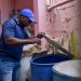 Salud Pública refuerza acciones contra el dengue y llama a eliminar criaderos desde el hogar 