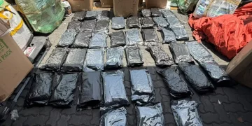 DNCD incauta 41 paquetes de marihuana en Puerto de Haina Oriental