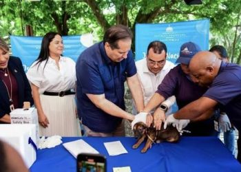 Salud Pública vacuna 115 perros y gatos contra la rabia en Ciudad Juan Bosch