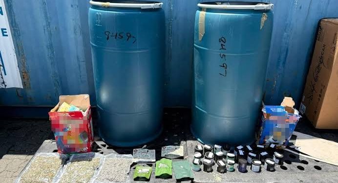 DNCD incauta marihuana y 23 envases con droga en puerto de Haina