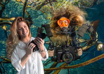 Criaturas del aire, el mar y la tierra en Photoimagen 2026