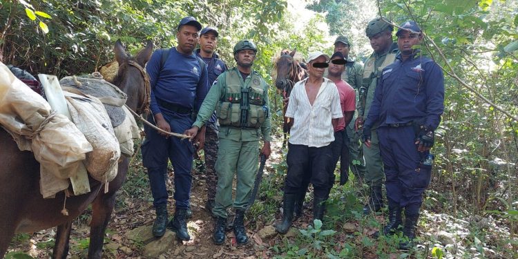 Senpa detiene a siete personas y ocupa equipos