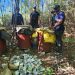 PN junto al MP desmantela laboratorio clandestino y ocupa más de 10 mil litros de bebidas alcohólicas adulteradas