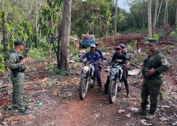 SENPA y  Medio Ambiente decomisan 169 sacos de carbón en Puerto Plata