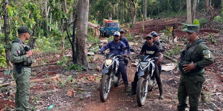 SENPA y Medio Ambiente decomisan 169 sacos de carbón en Puerto Plata