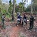 SENPA y Medio Ambiente decomisan 169 sacos de carbón en Puerto Plata