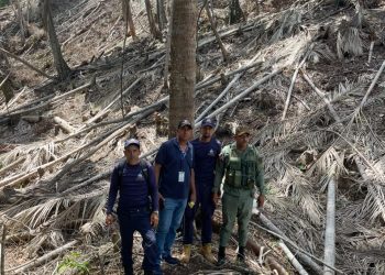 Imponen prisión preventiva a dos hombres por corte de árboles en zona de amortiguamiento del Parque Nacional Valle Nuevo