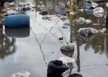 Basura acumulada e inundación afectan a residentes de Madre Vieja Norte