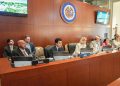 Wellington Arnaud posiciona a República Dominicana ante la OEA como referente regional en agua potable y saneamiento