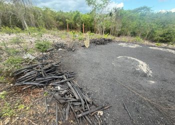 Autoridades decomisan sacos de carbón en terrenos agrícolas por denuncias de parceleros