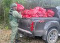 Autoridades decomisan sacos de carbón en terrenos agrícolas por denuncias de parceleros