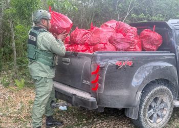 Autoridades decomisan sacos de carbón en terrenos agrícolas por denuncias de parceleros