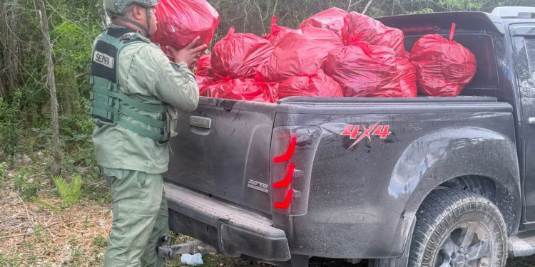 Autoridades decomisan sacos de carbón en terrenos agrícolas por denuncias de parceleros