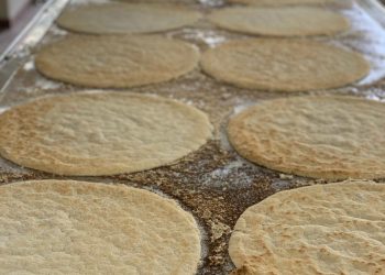 Productores de casabe y yuca pide a Abinader observar ley que crea INDOCASABE