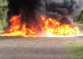 Inacif destruye más de 2,300 kilos de cocaína y marihuana