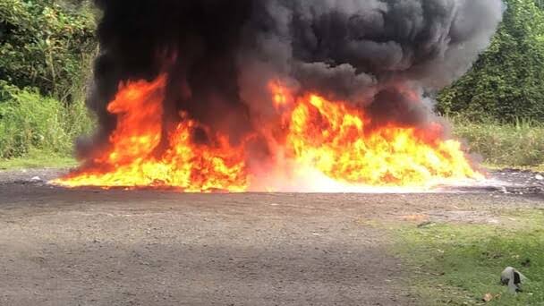 Inacif destruye más de 2,300 kilos de cocaína y marihuana