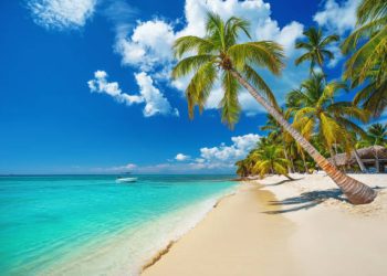 19 Septiembre: Día Mundial De Las Playas