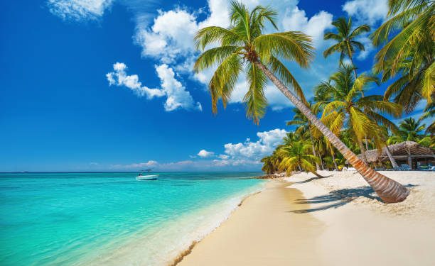 19 Septiembre: Día Mundial De Las Playas