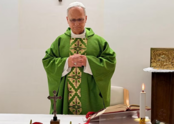 El Vaticano publicó la primera foto del papa León XIV tras la cirugía