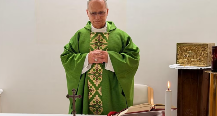 El Vaticano publicó la primera foto del papa León XIV tras la cirugía