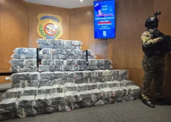 DNCD y Fuerzas Armadas incautan 555 paquetes de presunta cocaína en Baní