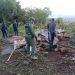 SENPA detiene a 23 haitianos y desmantela 15 casuchas en el Parque Nacional Sierra de Bahoruco