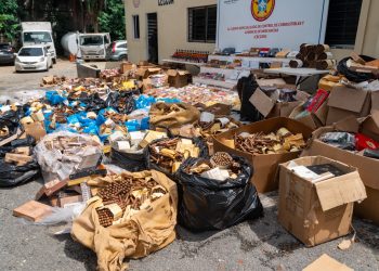 MICM y CECCOM decomisan puros y bebidas por más de RD$40 millones