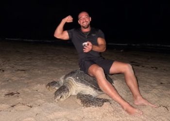 Influencer se sienta sobre una tortuga marina que ponía huevos en una zona protegida