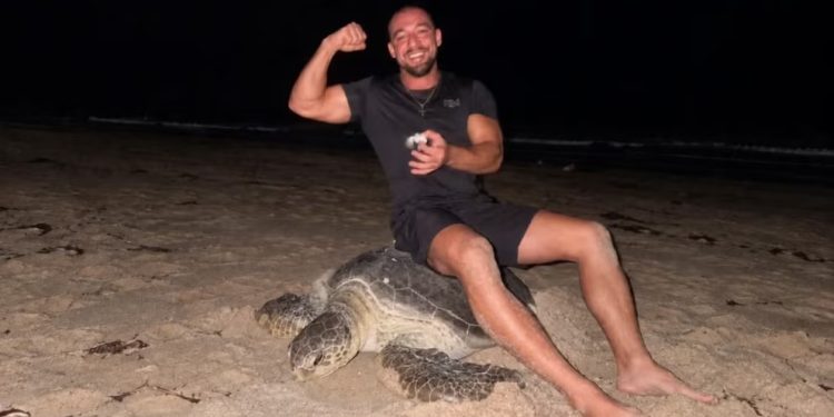 Influencer se sienta sobre una tortuga marina que ponía huevos en una zona protegida