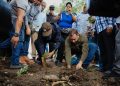 FEDA en conjunto con la Alcaldía inician programa de arborizaión en Santo Domingo Oeste