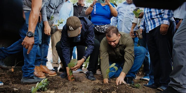 FEDA en conjunto con la Alcaldía inician programa de arborizaión en Santo Domingo Oeste