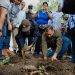 FEDA en conjunto con la Alcaldía inician programa de arborizaión en Santo Domingo Oeste