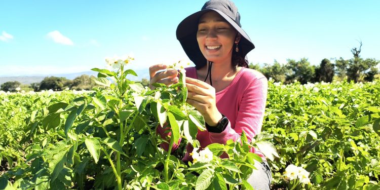 Agricultura beneficia a más de 4,700 mujeres rurales y fortalece su participación en el sector agropecuario
