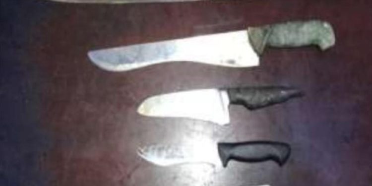 Policía ocupa 12 armas blancas e interviene cuatro puntos durante operativos en San Cristóbal