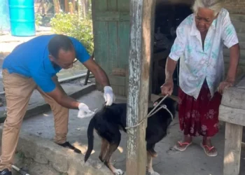 Salud Pública combate el dengue y vacuna a 11 mil animales en la frontera