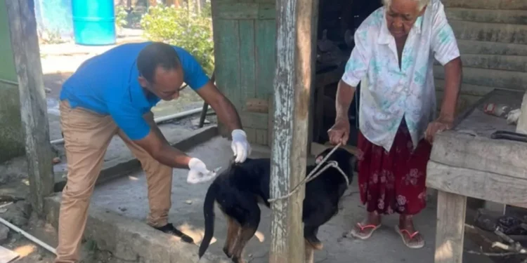 Salud Pública combate el dengue y vacuna a 11 mil animales en la frontera