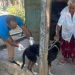 Salud Pública combate el dengue y vacuna a 11 mil animales en la frontera