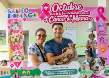 Alcaldía del DN esteriliza 107 perros y gatos en jornada de bienestar animal