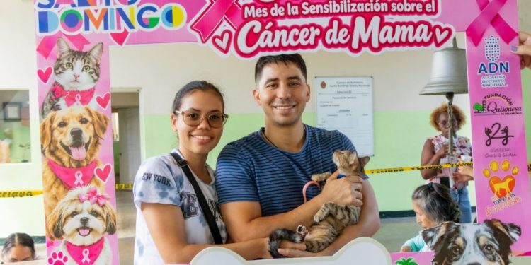 Alcaldía del DN esteriliza 107 perros y gatos en jornada de bienestar animal